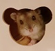 endearing little hammie's Avatar