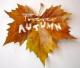 Forever Autumn's Avatar