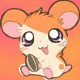 HamstersAreHardcore's Avatar