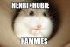 HenriandHobieHammies's Avatar