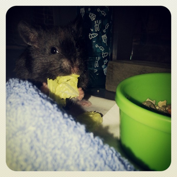 My baby eating
